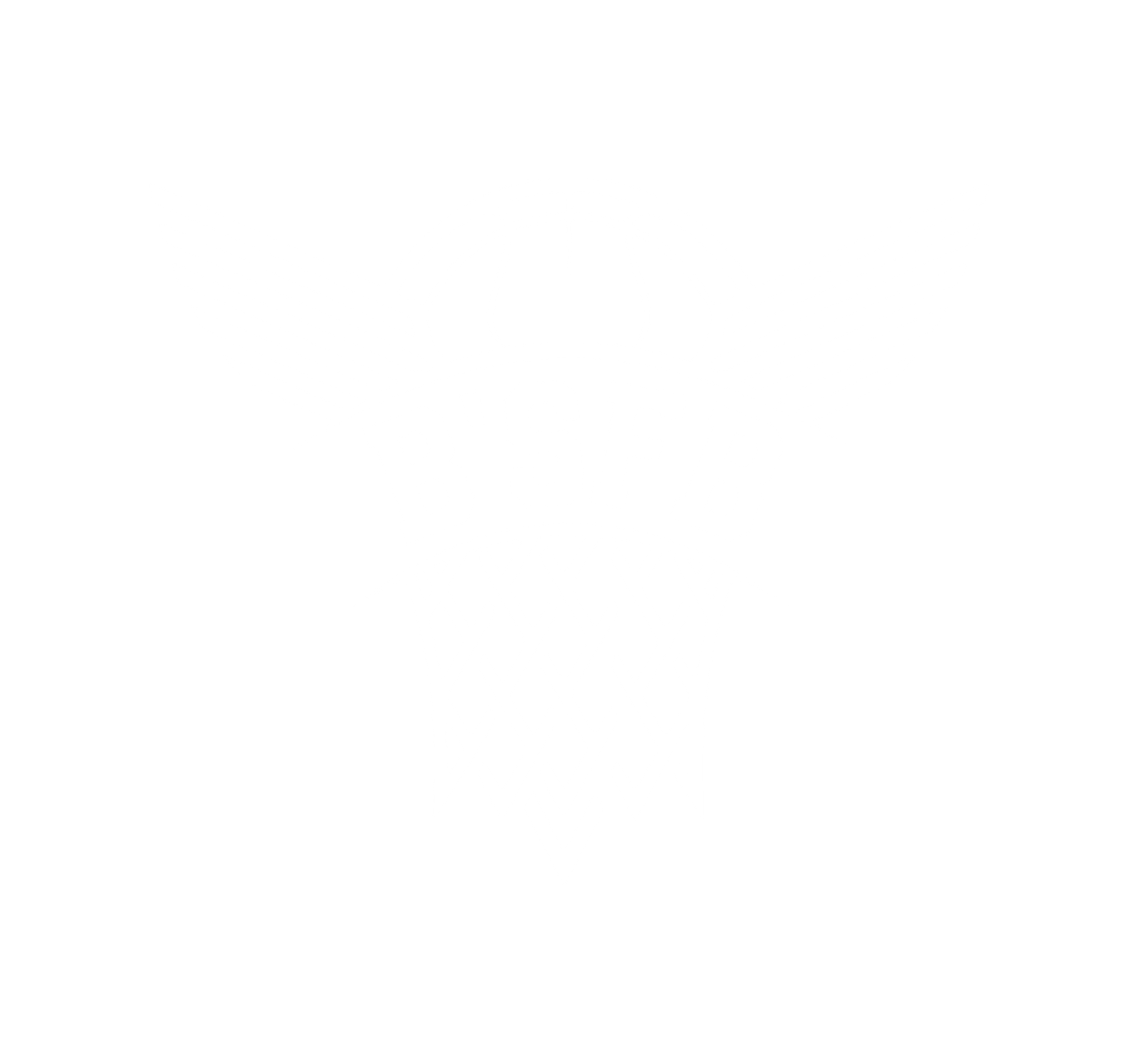 Logo BSFB